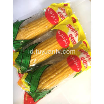 2019 tanaman jagung manis baru dengan harga bagus